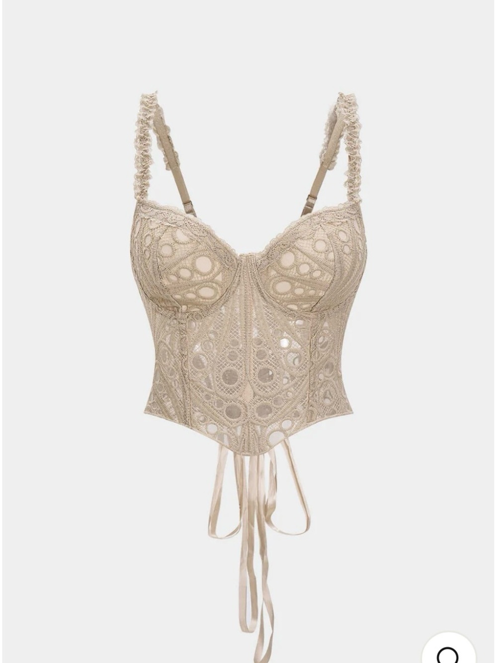 Sheer Lace Longline Bustier in Taupe